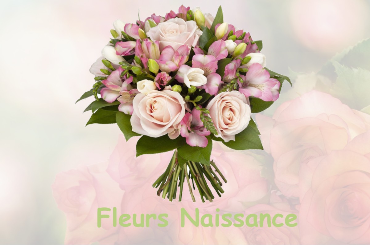 fleurs naissance SAINTE-ANNE-D-AURAY
